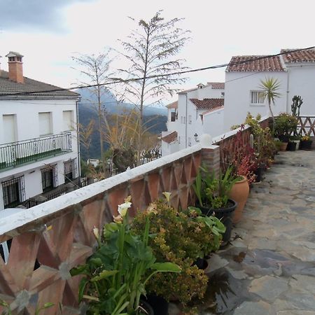 Apartamentos Rurales Jardines Del Visir Genalguacil Exterior photo