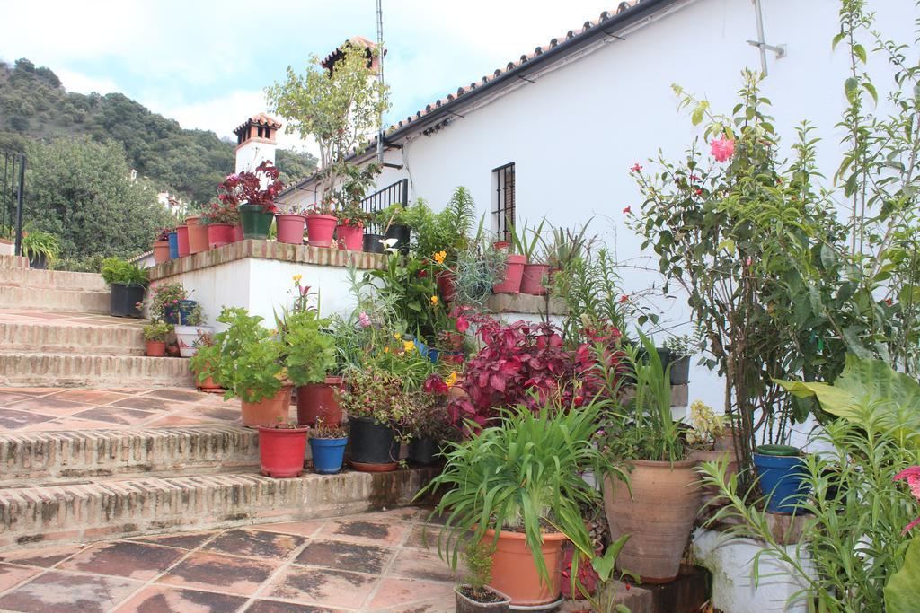 Apartamentos Rurales Jardines Del Visir Genalguacil Exterior photo